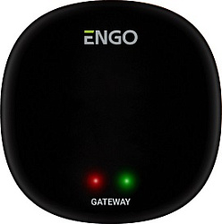 Универсальный интернет шлюз Zigbee для ENGO Smart